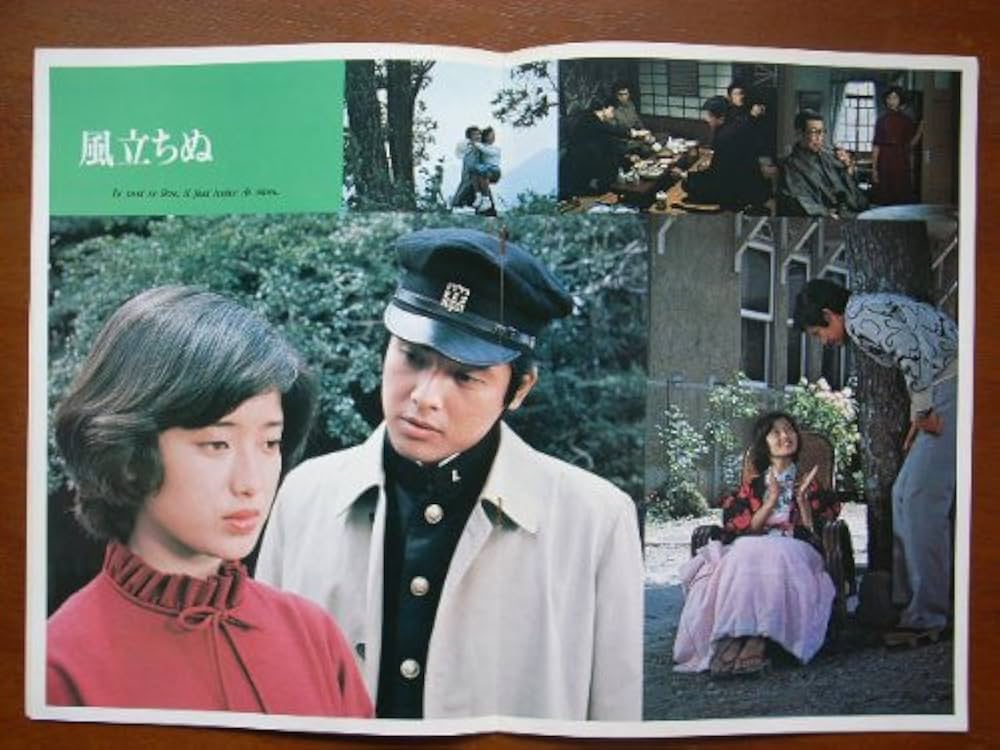 Amazon.co.jp: 映画パンフレット 風立ちぬ(1976作品) 原作： 堀